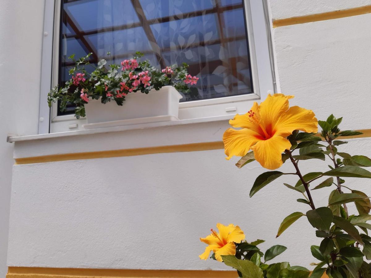 Thermal Garden Mosonmagyaróvár エクステリア 写真